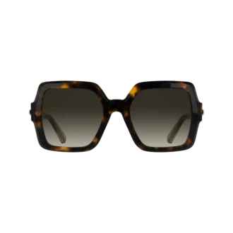 Havana Brown – OTHER Sunglasses