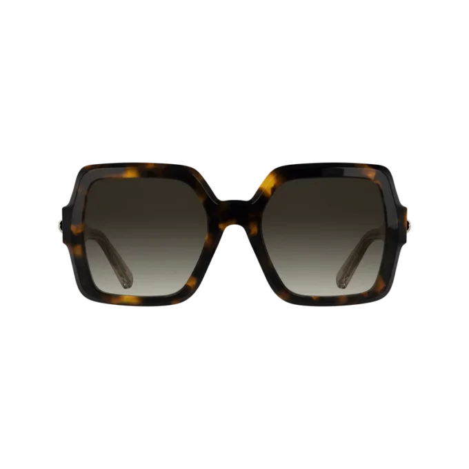 Havana Brown – OTHER Sunglasses Havana Brown – OTHER Sunglasses