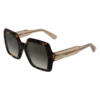 Havana Brown – OTHER Sunglasses Havana Brown – OTHER Sunglasses