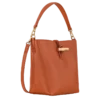 Le Roseau XS Bucket bag
